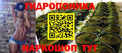 прущая мука Будённовск