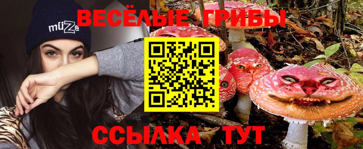 Псилоцибиновые грибы ЛСД Торжок