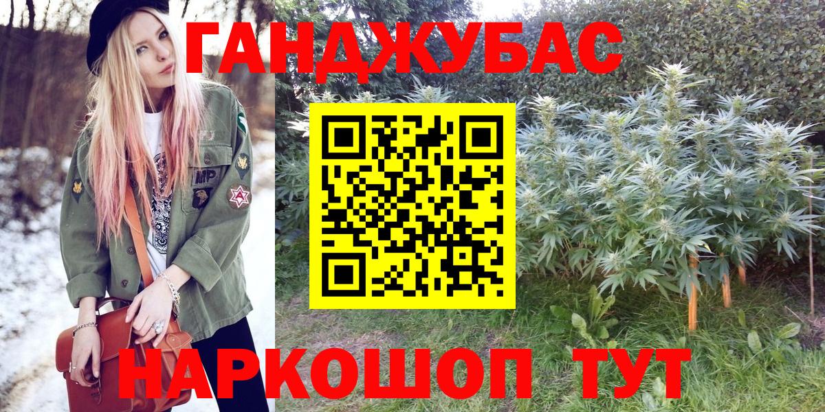 Конопля конопля  Бошки марихуана планчик  Вход с VPN  Торжок  Шишки марихуана White Widow 